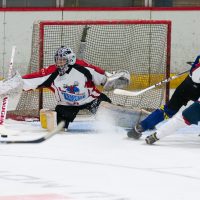 JLSS Kauss U15 JLSS sarīkotājs kauss U15 vecuma grupas jauniešiem Jelgavas ledus hallē 2018. gada 18. un 19. augustā.