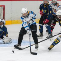 JLSS Kauss U15 JLSS sarīkotājs kauss U15 vecuma grupas jauniešiem Jelgavas ledus hallē 2018. gada 18. un 19. augustā.