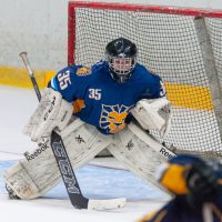 JLSS Kauss U15 JLSS sarīkotājs kauss U15 vecuma grupas jauniešiem Jelgavas ledus hallē 2018. gada 18. un 19. augustā.