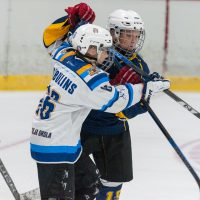 JLSS Kauss U15 JLSS sarīkotājs kauss U15 vecuma grupas jauniešiem Jelgavas ledus hallē 2018. gada 18. un 19. augustā.