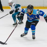 JLSS Kauss U15 JLSS sarīkotājs kauss U15 vecuma grupas jauniešiem Jelgavas ledus hallē 2018. gada 18. un 19. augustā.