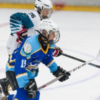 JLSS Kauss U15 JLSS sarīkotājs kauss U15 vecuma grupas jauniešiem Jelgavas ledus hallē 2018. gada 18. un 19. augustā.