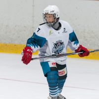 JLSS Kauss U15 JLSS sarīkotājs kauss U15 vecuma grupas jauniešiem Jelgavas ledus hallē 2018. gada 18. un 19. augustā.