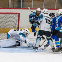 JLSS Kauss U15 JLSS sarīkotājs kauss U15 vecuma grupas jauniešiem Jelgavas ledus hallē 2018. gada 18. un 19. augustā.