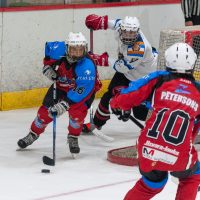 JLSS Kauss U15 JLSS sarīkotājs kauss U15 vecuma grupas jauniešiem Jelgavas ledus hallē 2018. gada 18. un 19. augustā.