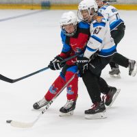 JLSS Kauss U15 JLSS sarīkotājs kauss U15 vecuma grupas jauniešiem Jelgavas ledus hallē 2018. gada 18. un 19. augustā.