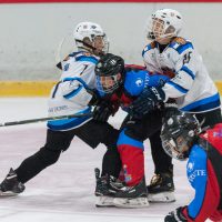 JLSS Kauss U15 JLSS sarīkotājs kauss U15 vecuma grupas jauniešiem Jelgavas ledus hallē 2018. gada 18. un 19. augustā.