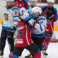 JLSS Kauss U15 JLSS sarīkotājs kauss U15 vecuma grupas jauniešiem Jelgavas ledus hallē 2018. gada 18. un 19. augustā.