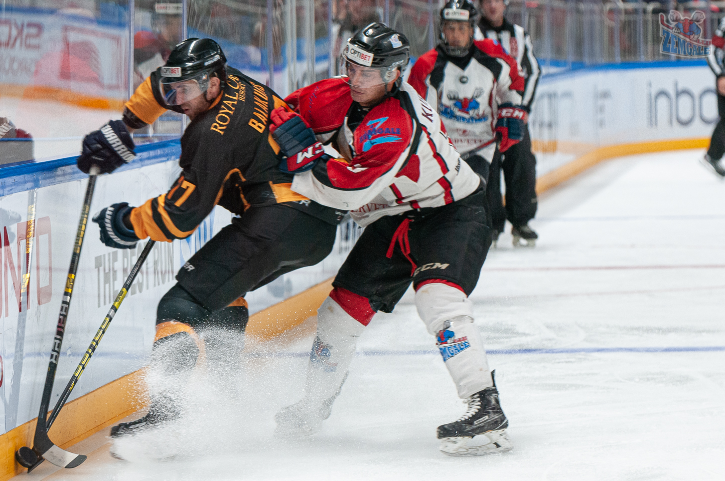 HK Zemgale/LLU pret Olimp Arena Rīga | hkzemgale.lv