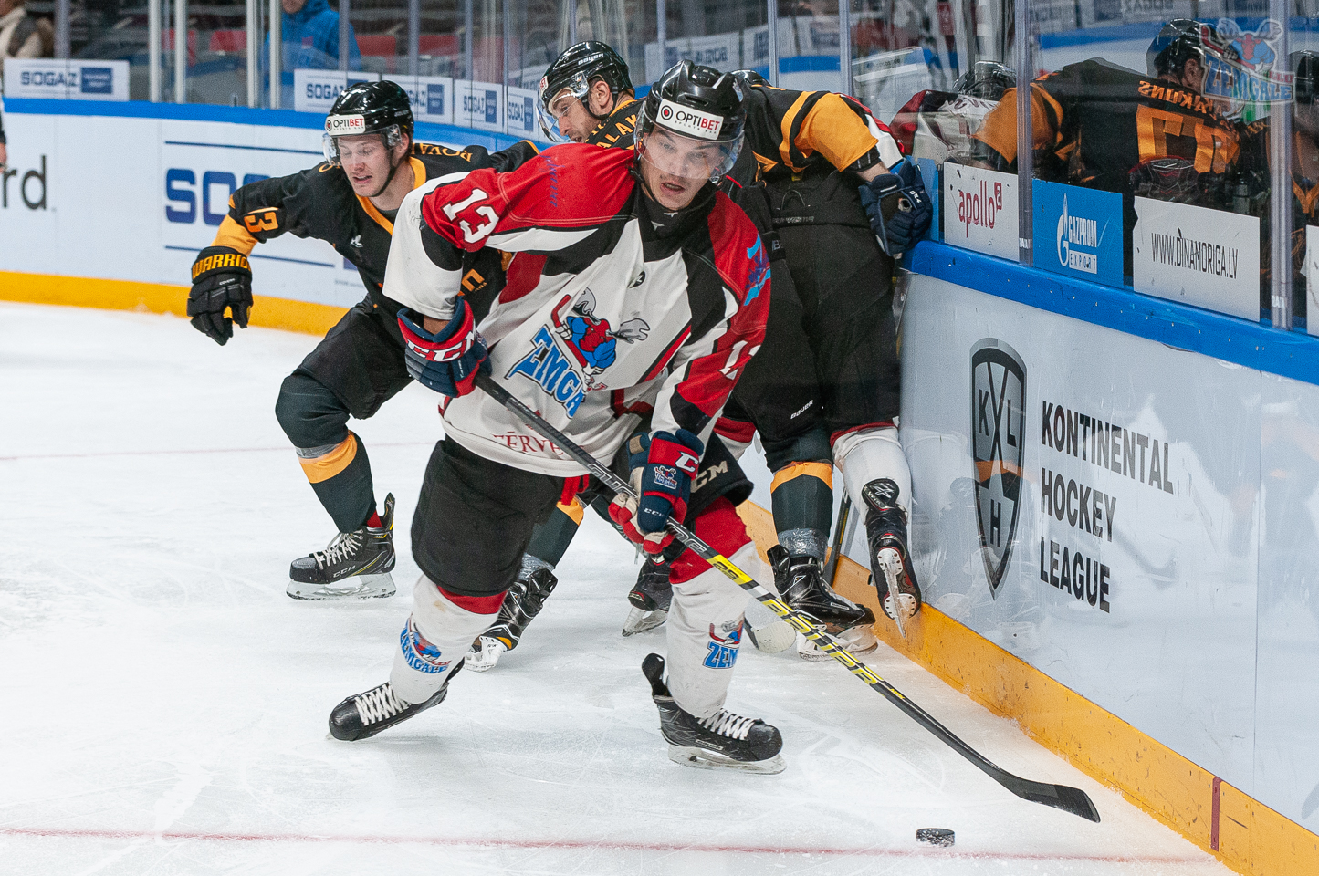 HK Zemgale/LLU pret Olimp Arena Rīga | hkzemgale.lv