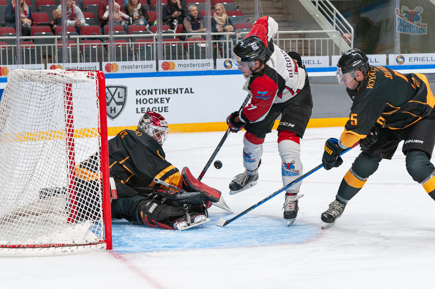 HK Zemgale/LLU pret Olimp Arena Rīga | hkzemgale.lv