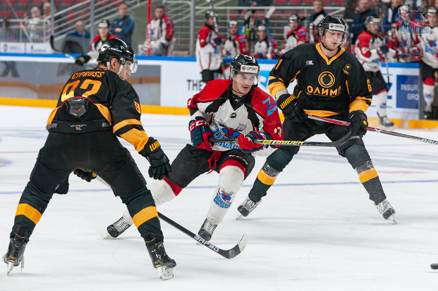 HK Zemgale/LLU pret Olimp Arena Rīga | hkzemgale.lv
