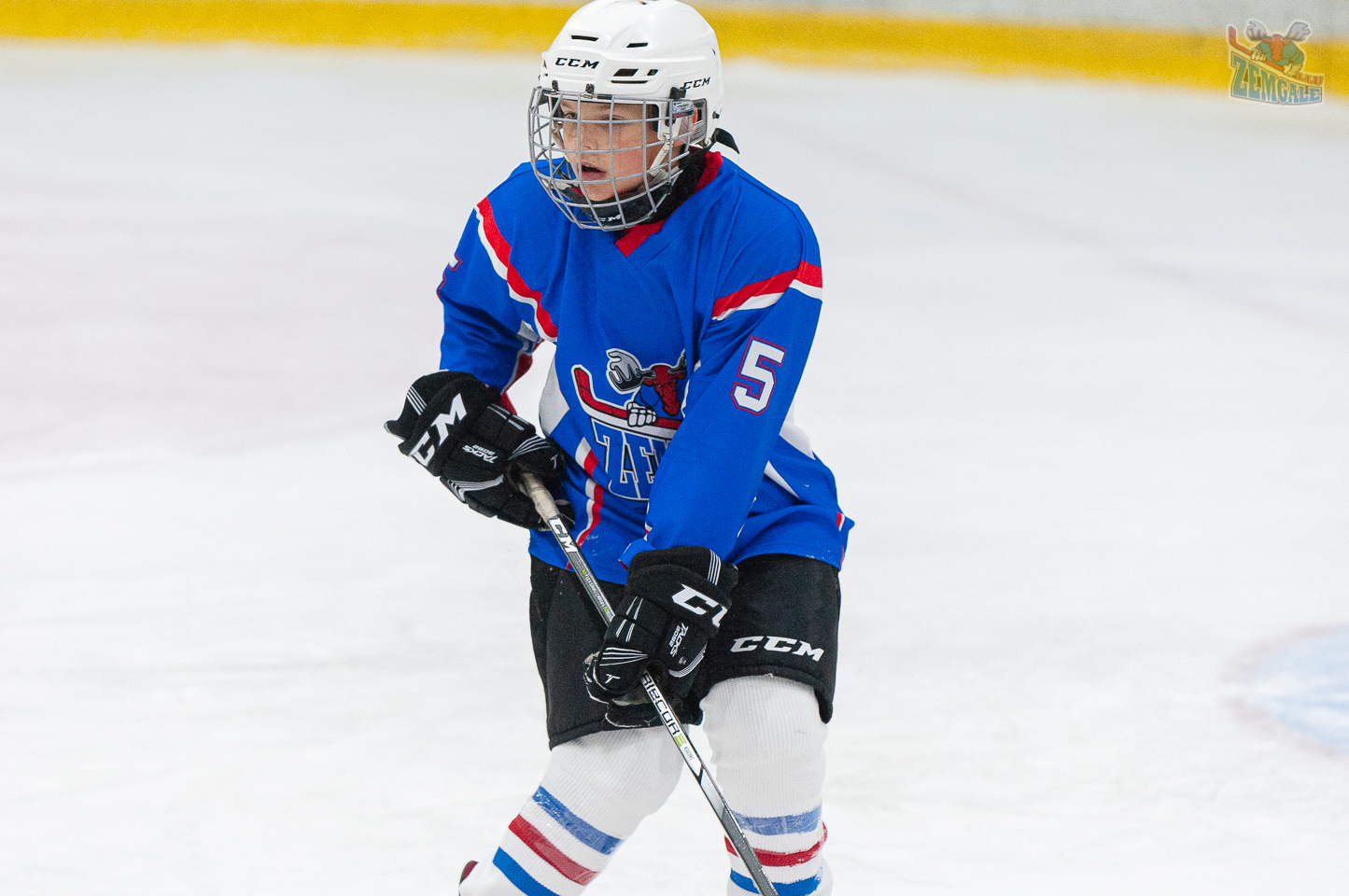 Jelgavas hokeja skola JLSS U11 B - DLSS LBJČH 13102019-02