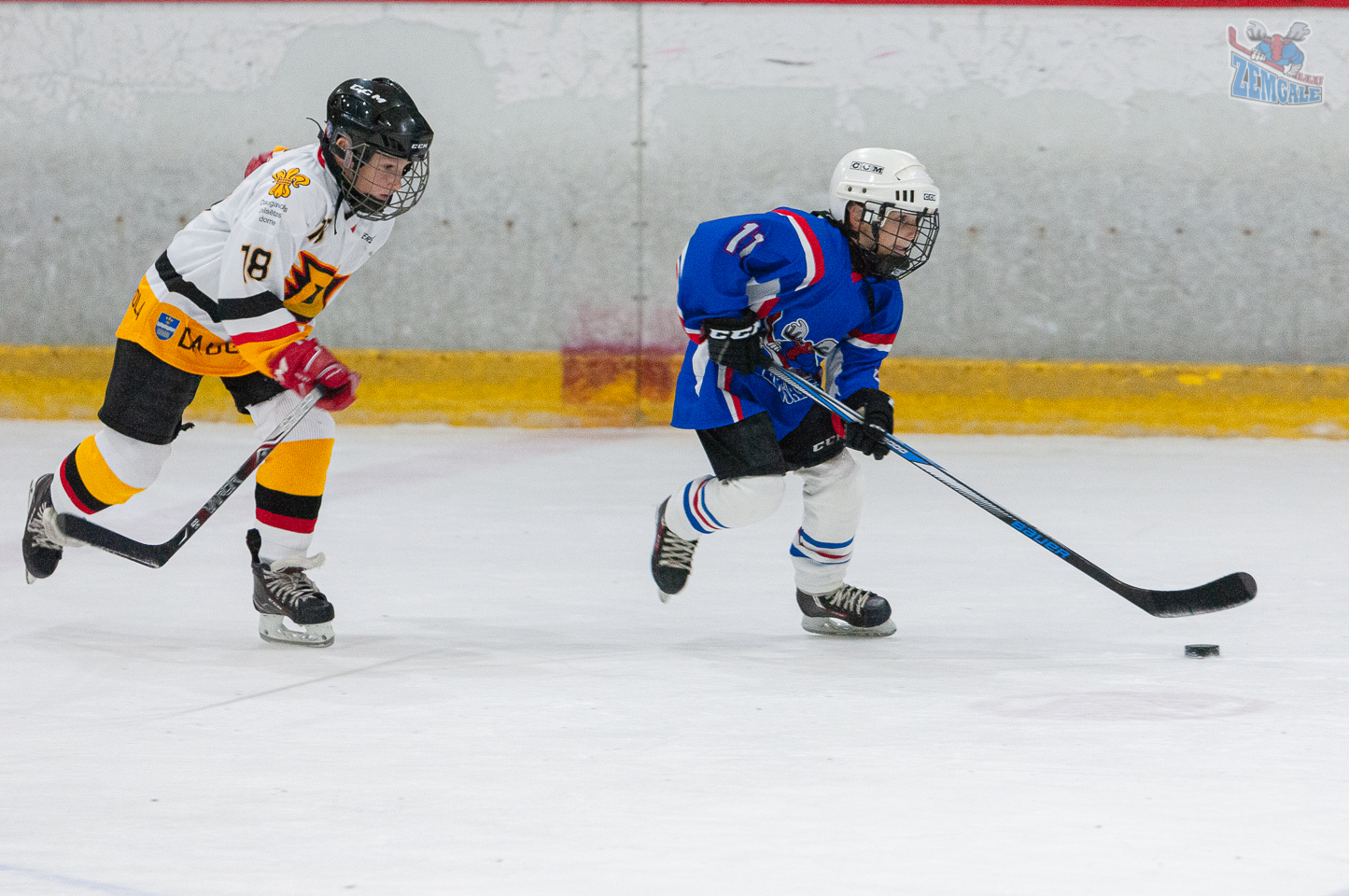 Jelgavas hokeja skola JLSS U11 B - DLSS LBJČH 13102019-08
