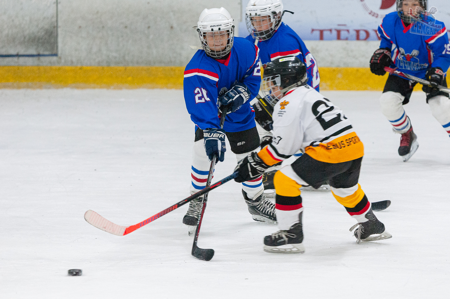 Jelgavas hokeja skola JLSS U11 B - DLSS LBJČH 13102019-10