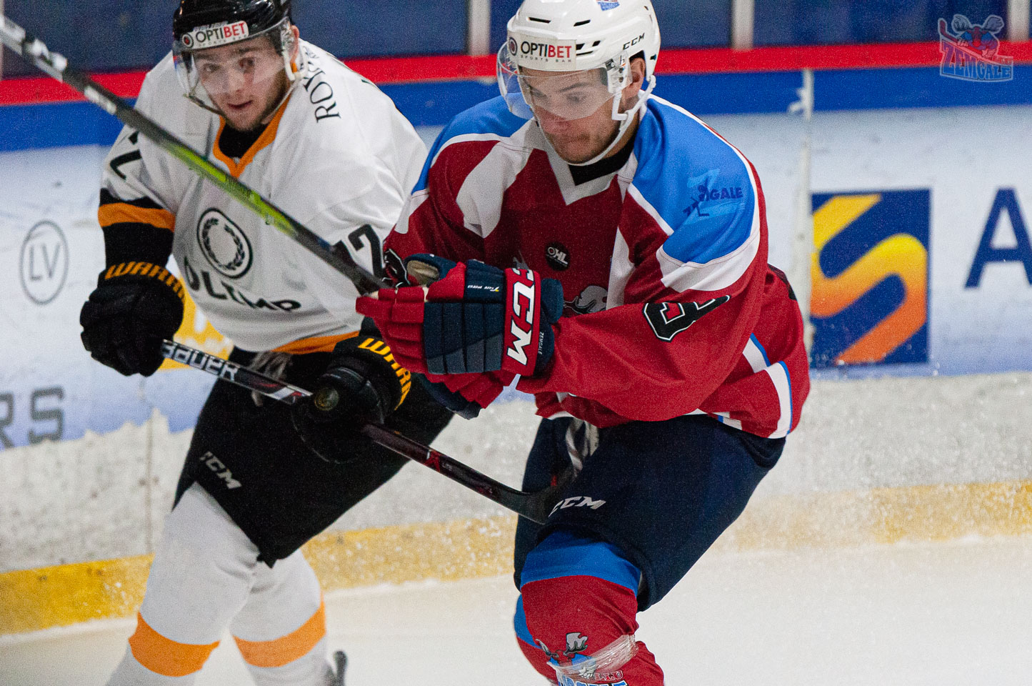 Zemgale/LLU – Olimp 15.01.2020. Optibet hokeja līgas regulārā čempionāta spēle starp HK “Zemgale/LLU” un HK “Olimp” Jelgavas ledus hallē 2020. gada 15. janvārī | Foto: Ruslans Antropovs / rusantro.com
