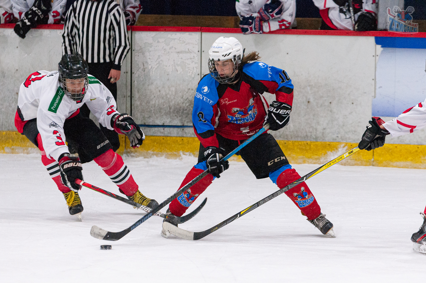 Latvijas bērnu un jauniešu hokeja čempionāta regulārā turnīra spēle starp HK “JLSS U17” un HK “Pirāti” Jelgavas ledus hallē 2019. gada 2. novembrī. Foto: Ruslans Antropovs, rusantro.com