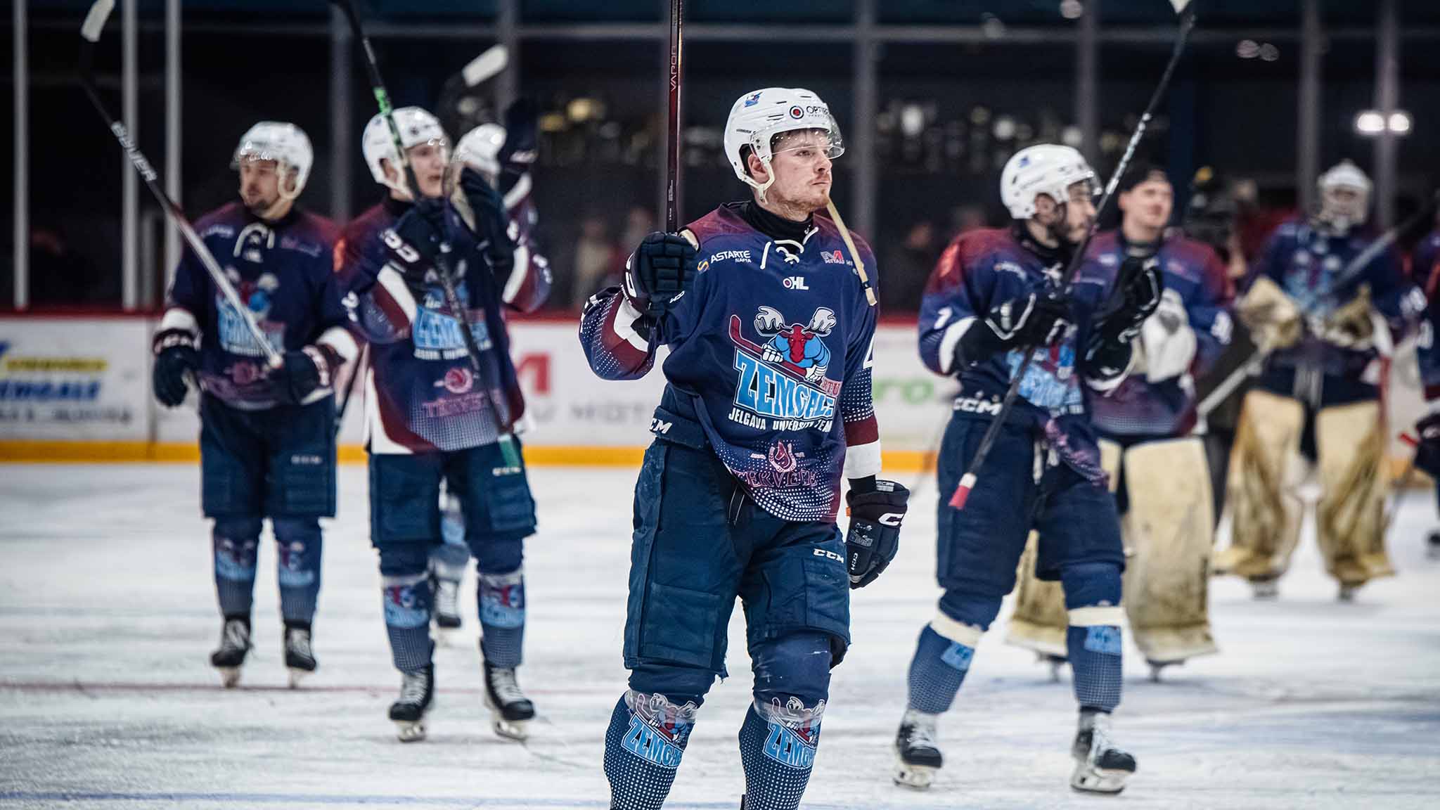 zemgale lbtu